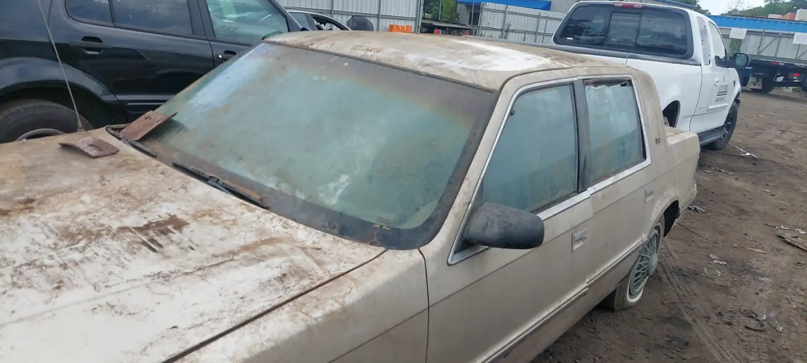 Photo of 1989 Dodge Dynasty