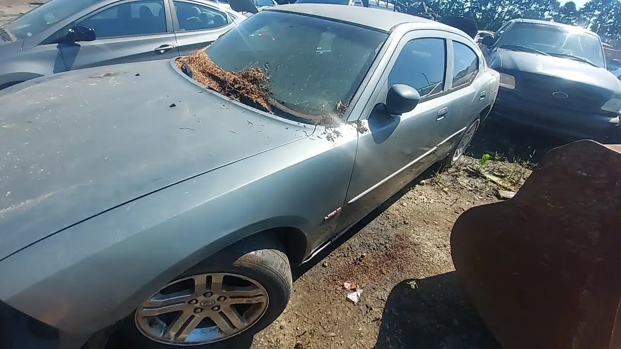 Photo of 2006 Dodge Charger