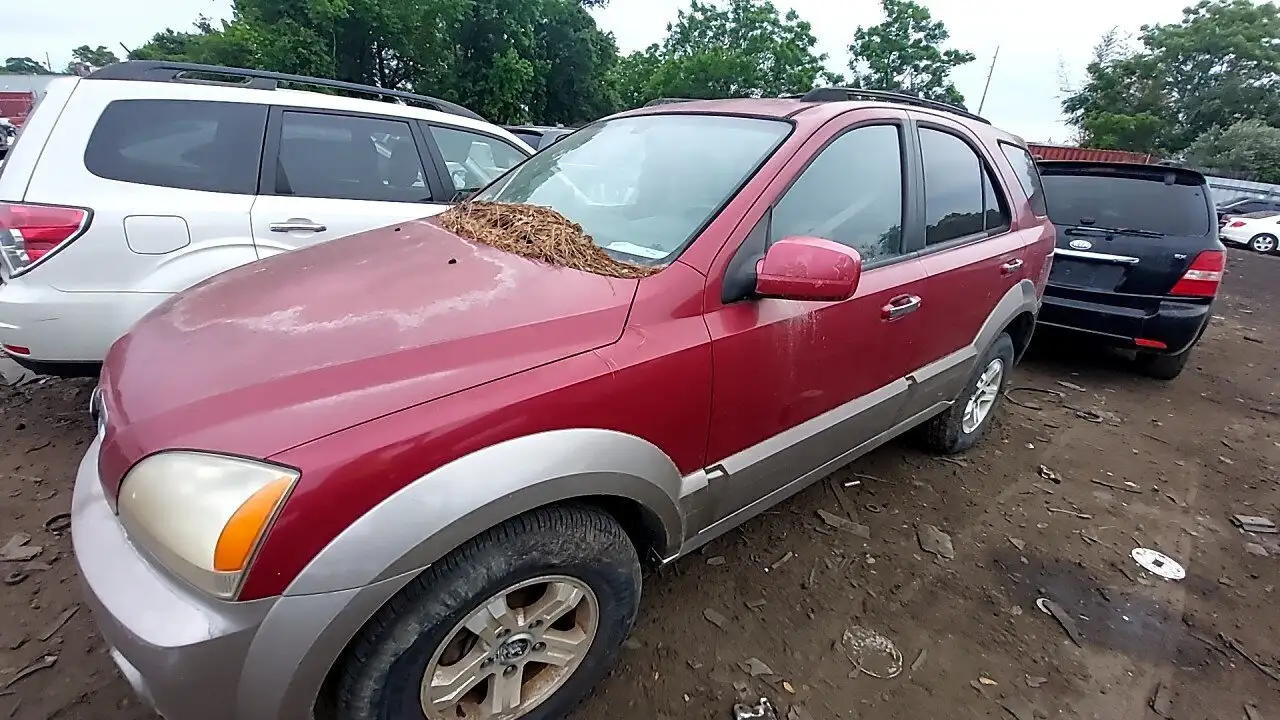 Photo of 2004 Kia Sorento