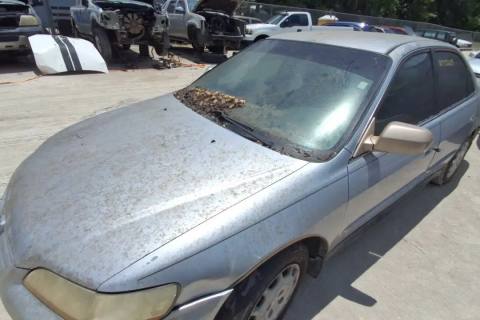 Photo of 2002 Honda Accord