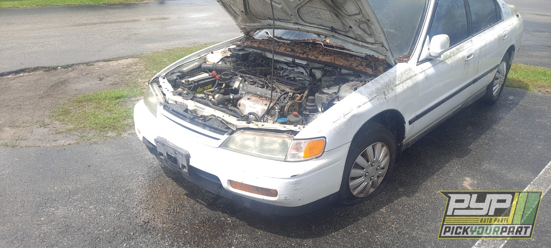Photo of 1995 Honda Accord