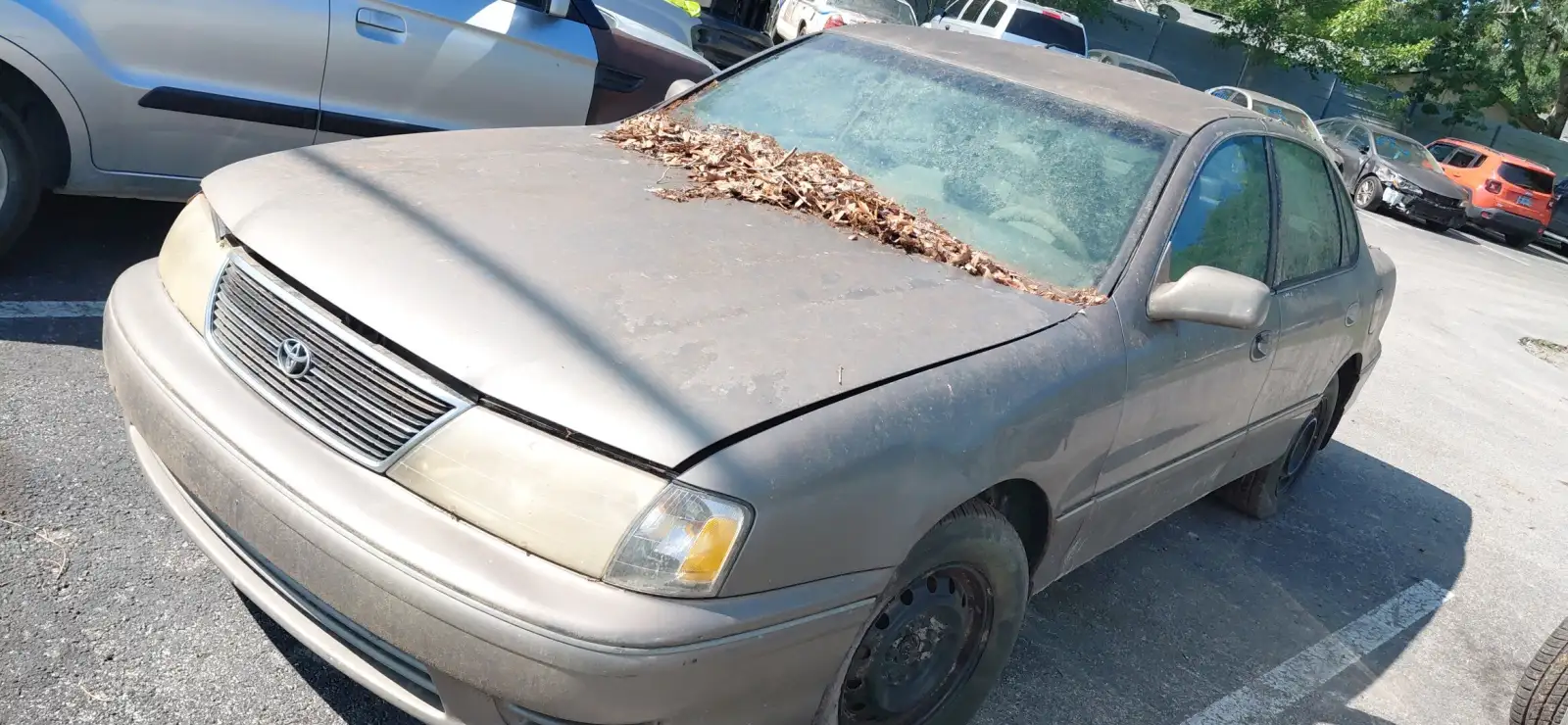 Photo of 1999 Toyota Avalon