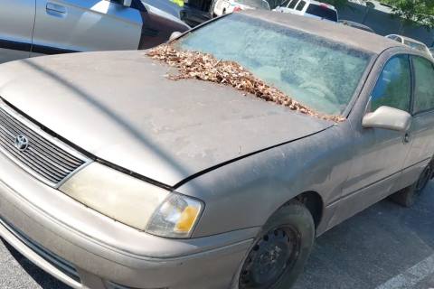Photo of 1999 Toyota Avalon
