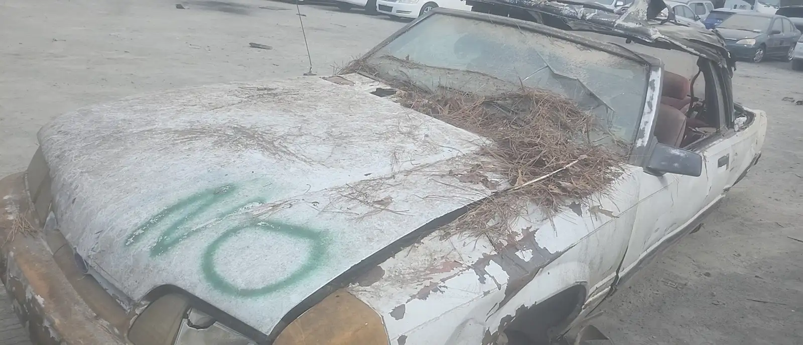 Photo of 1983 Ford Mustang