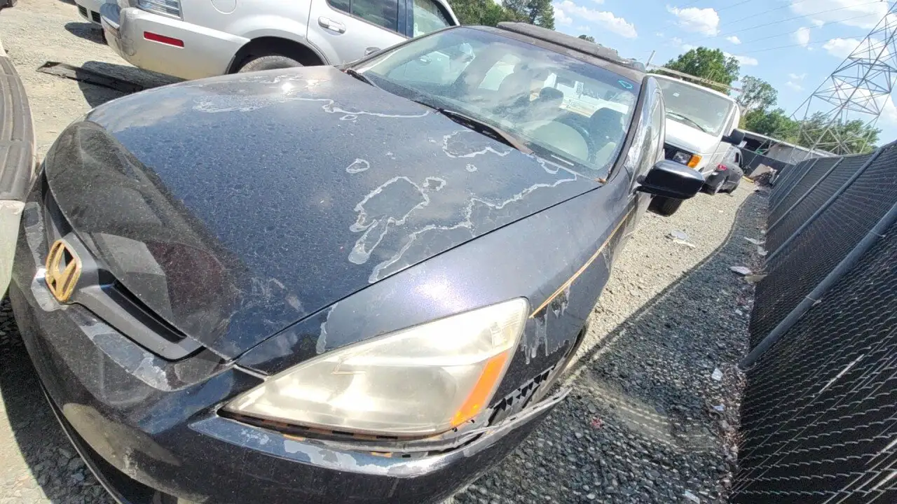Photo of 2004 Honda Accord