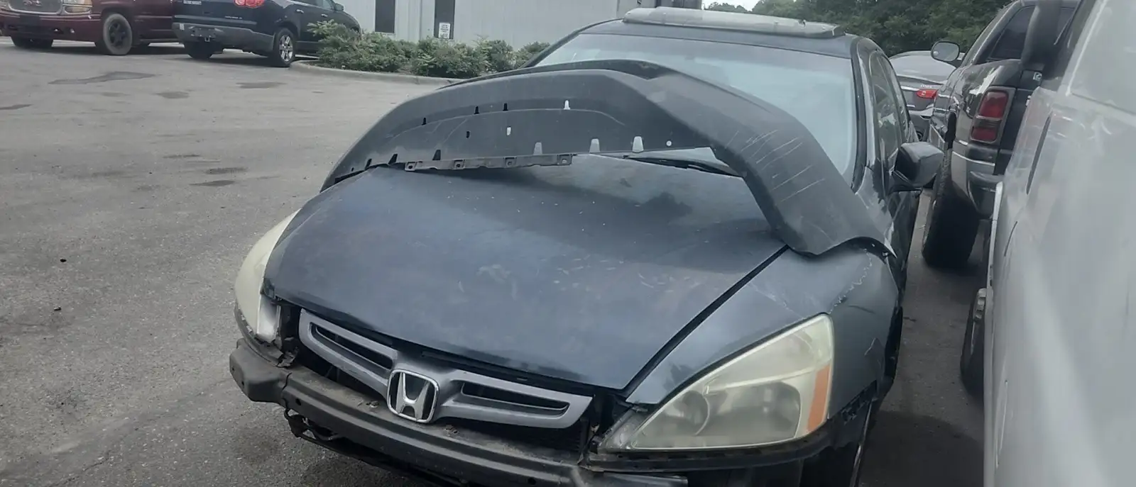 Photo of 2004 Honda Accord