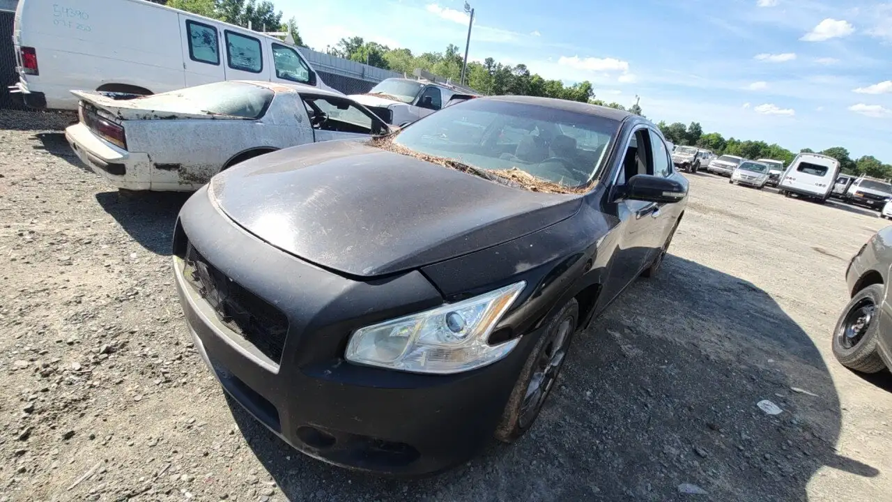 Photo of 2012 Nissan Maxima