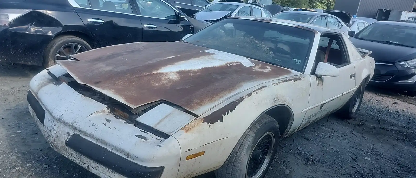 Photo of 1987 Pontiac Firebird