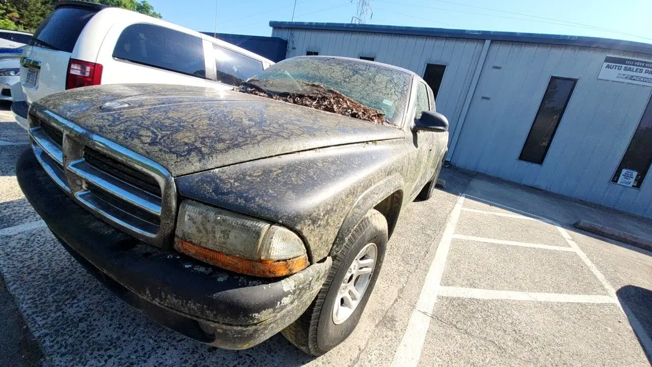 Photo of 2004 Dodge Dakota