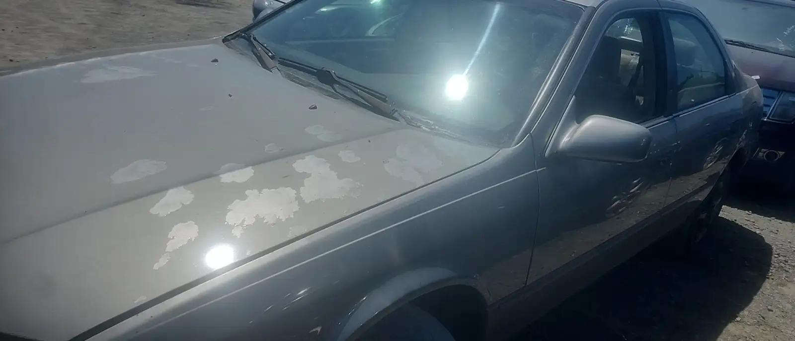 Photo of 1999 Toyota Camry