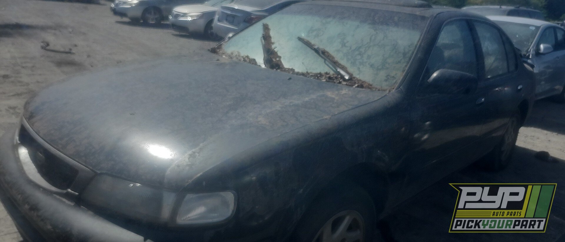 Photo of 1996 Nissan Maxima