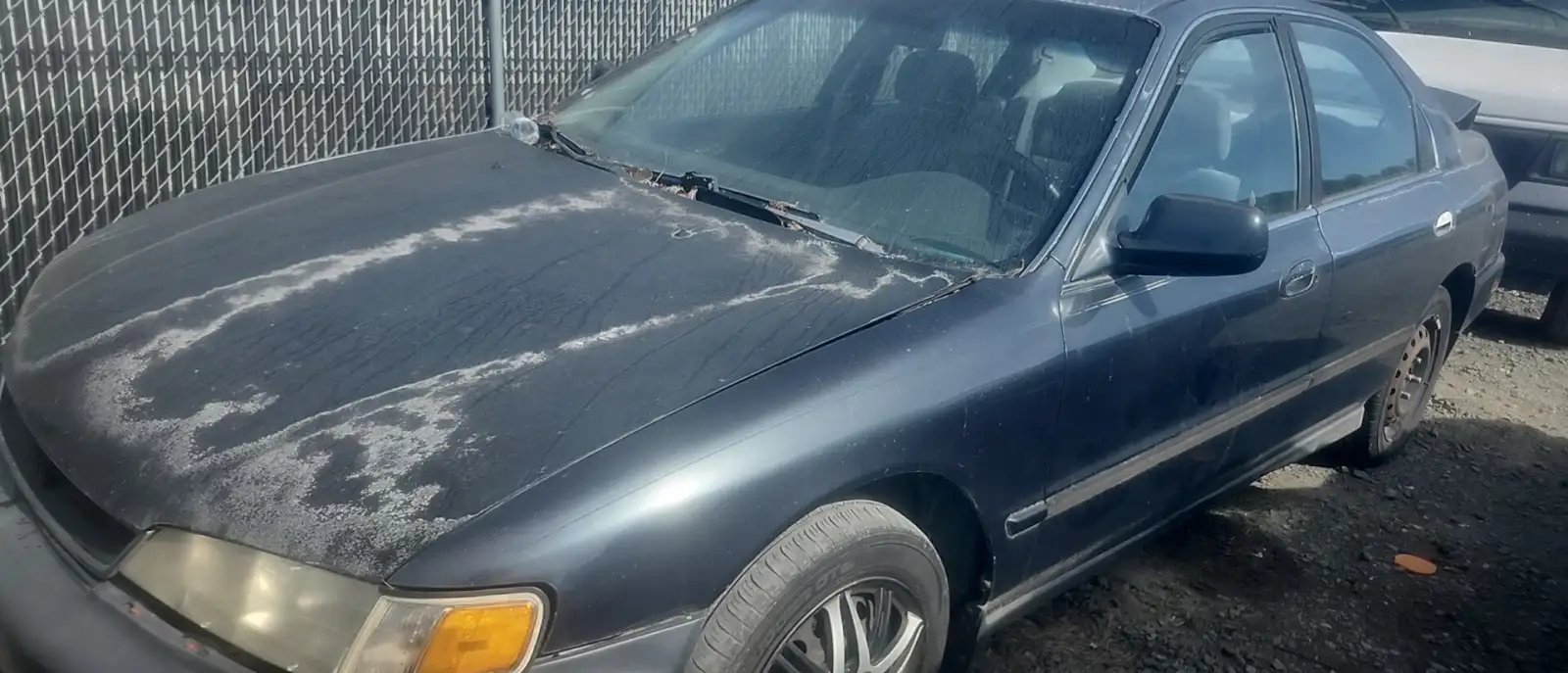 Photo of 1997 Honda Accord