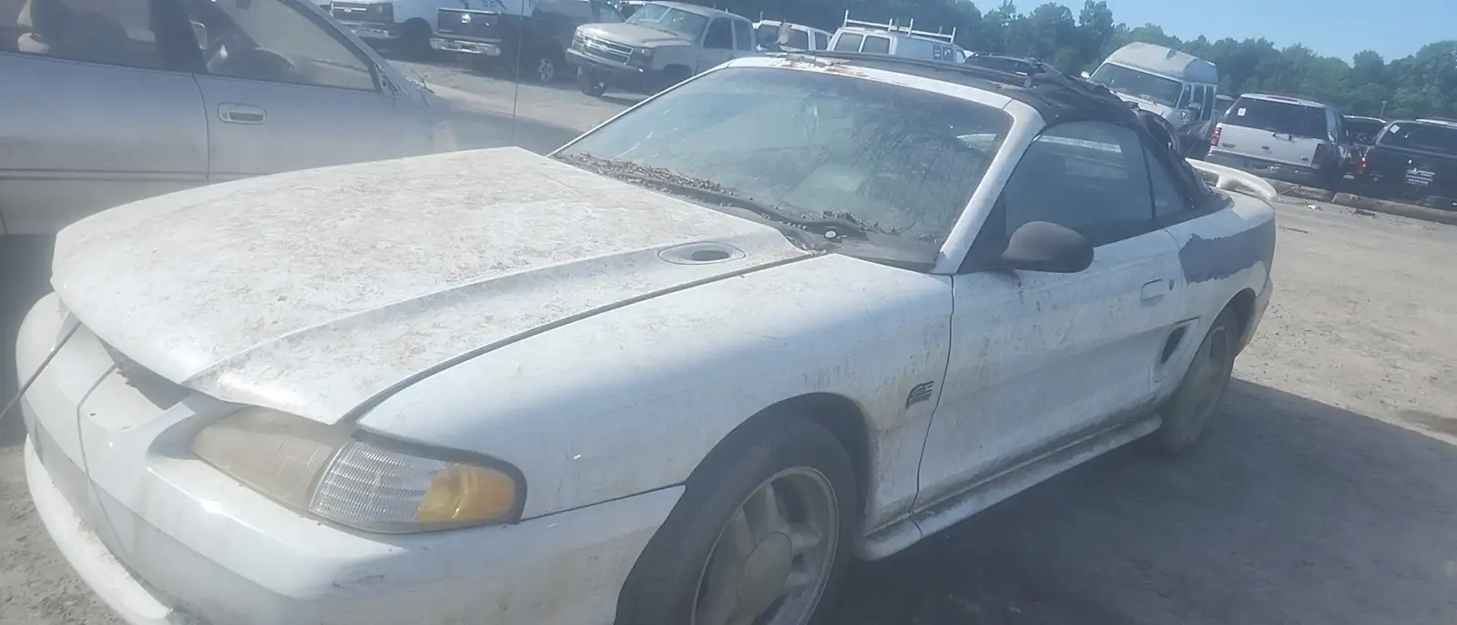 Photo of 1994 Ford Mustang