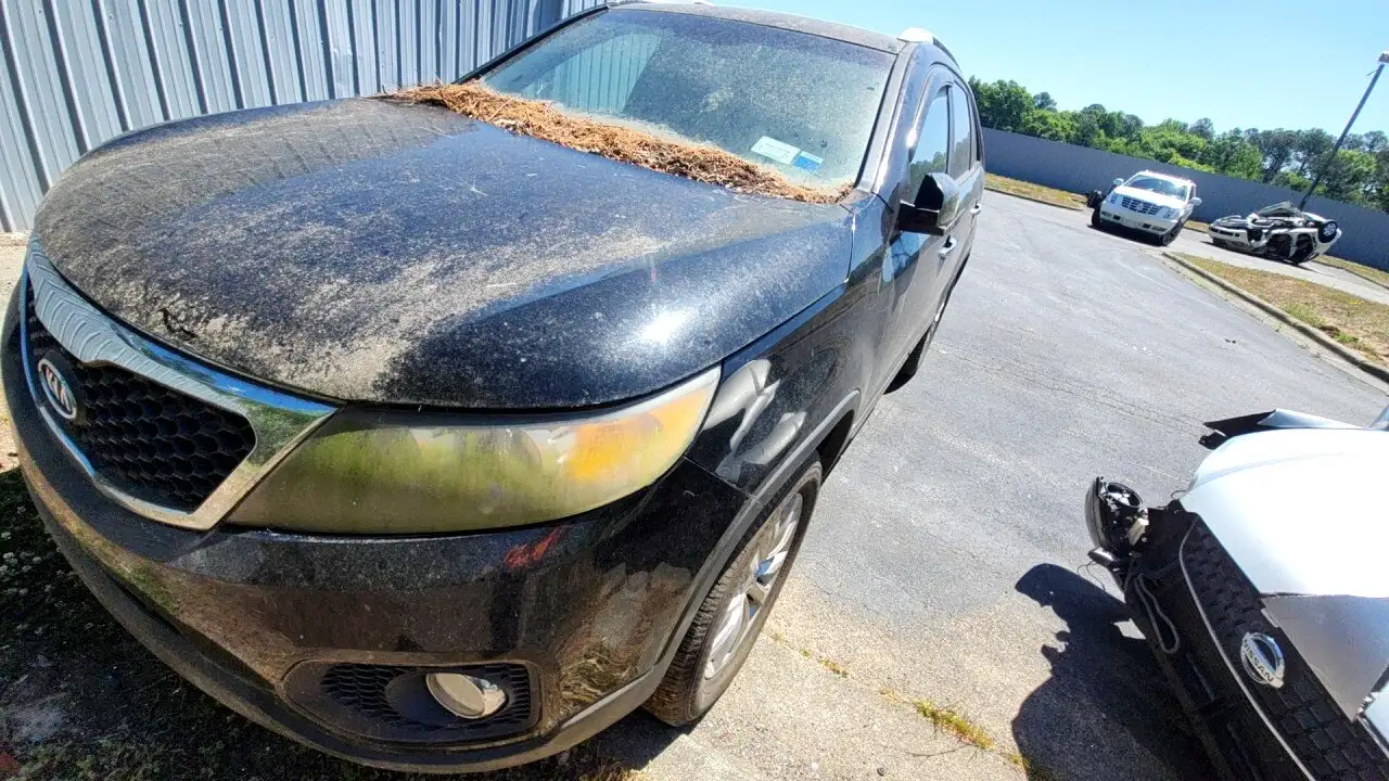 Photo of 2011 Kia Sorento