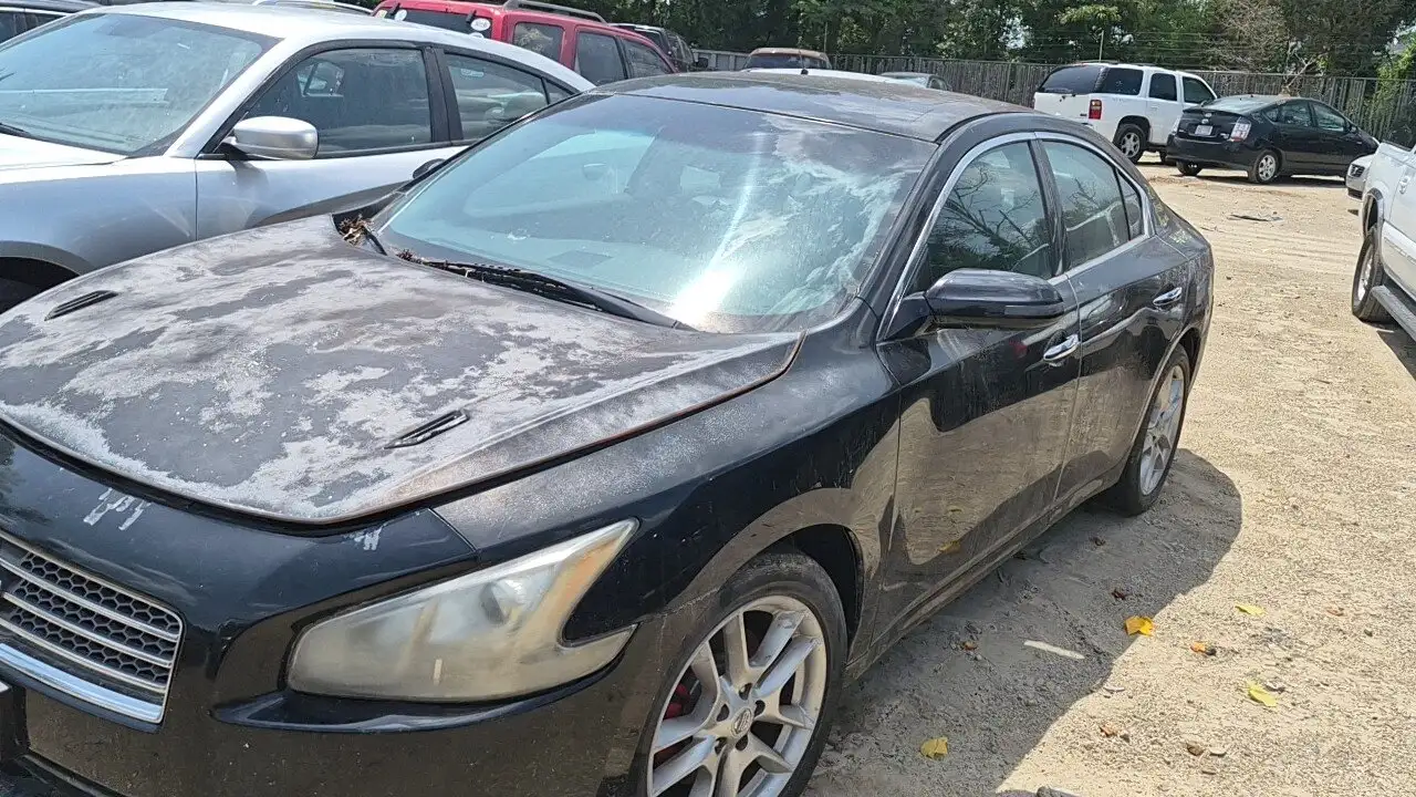 Photo of 2010 Nissan Maxima