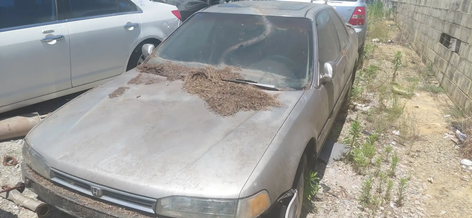 Photo of 1992 Honda Accord