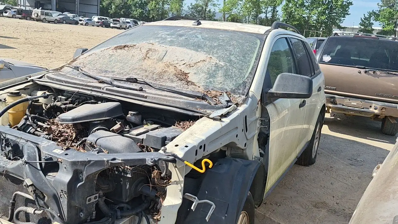 Photo of 2007 Ford Edge