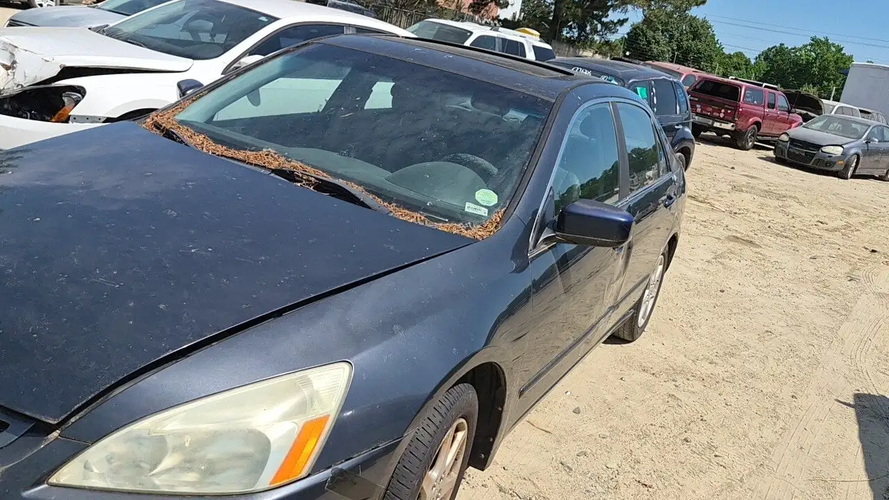 Photo of 2003 Honda Accord