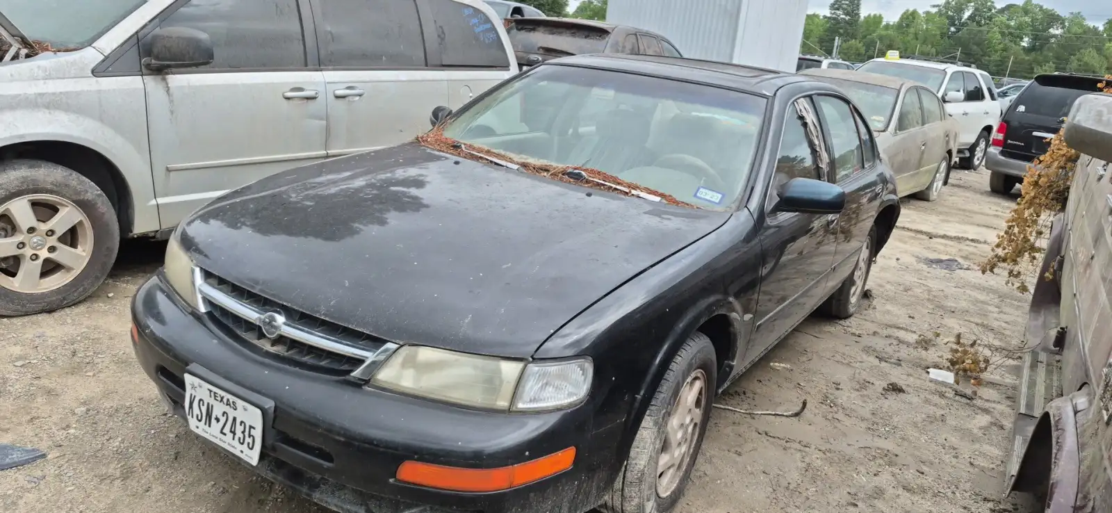 Photo of 1997 Nissan Maxima