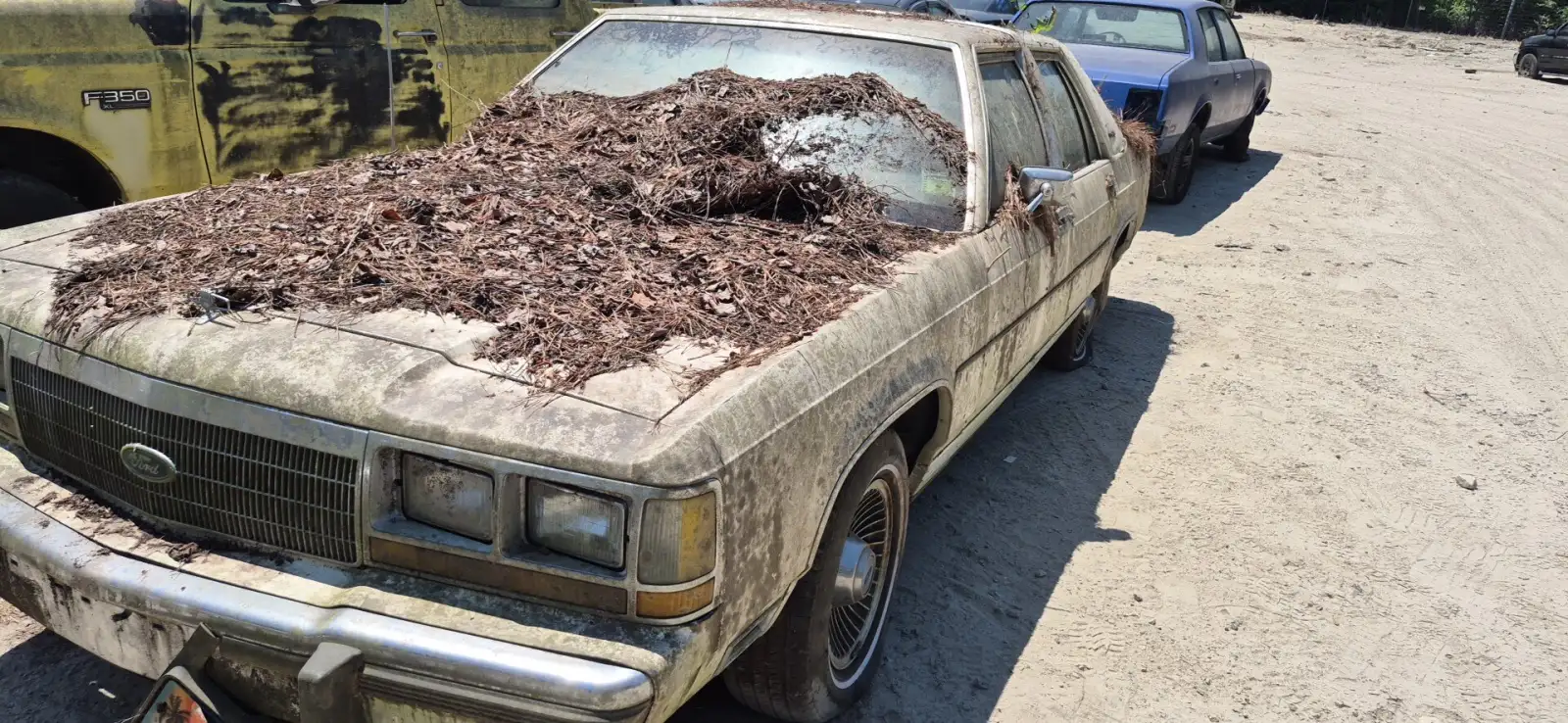 Photo of 1989 Ford Ltd Crown Victoria