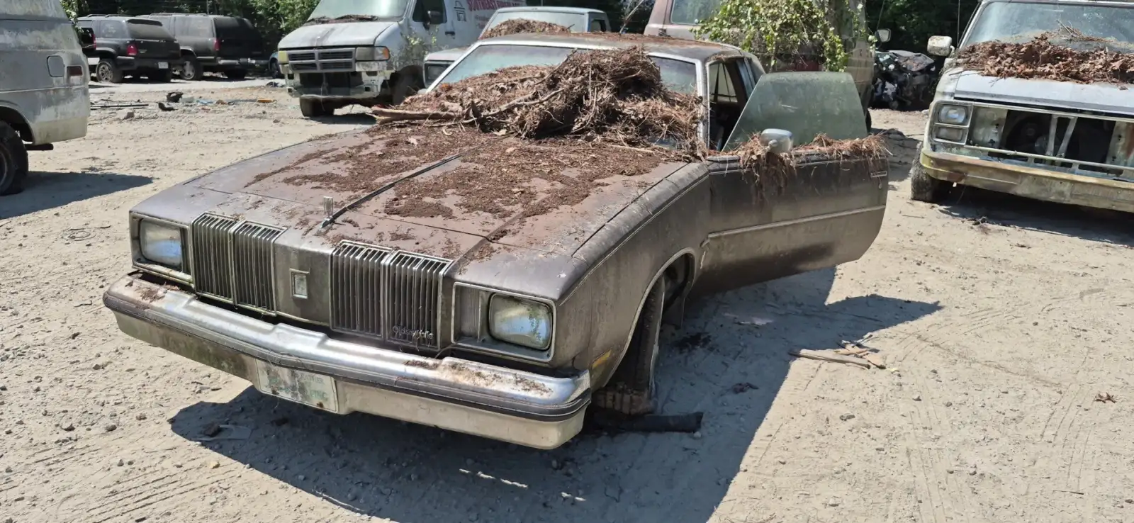 Photo of 1979 Oldsmobile Cutlass