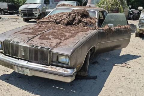 Photo of 1979 Oldsmobile Cutlass