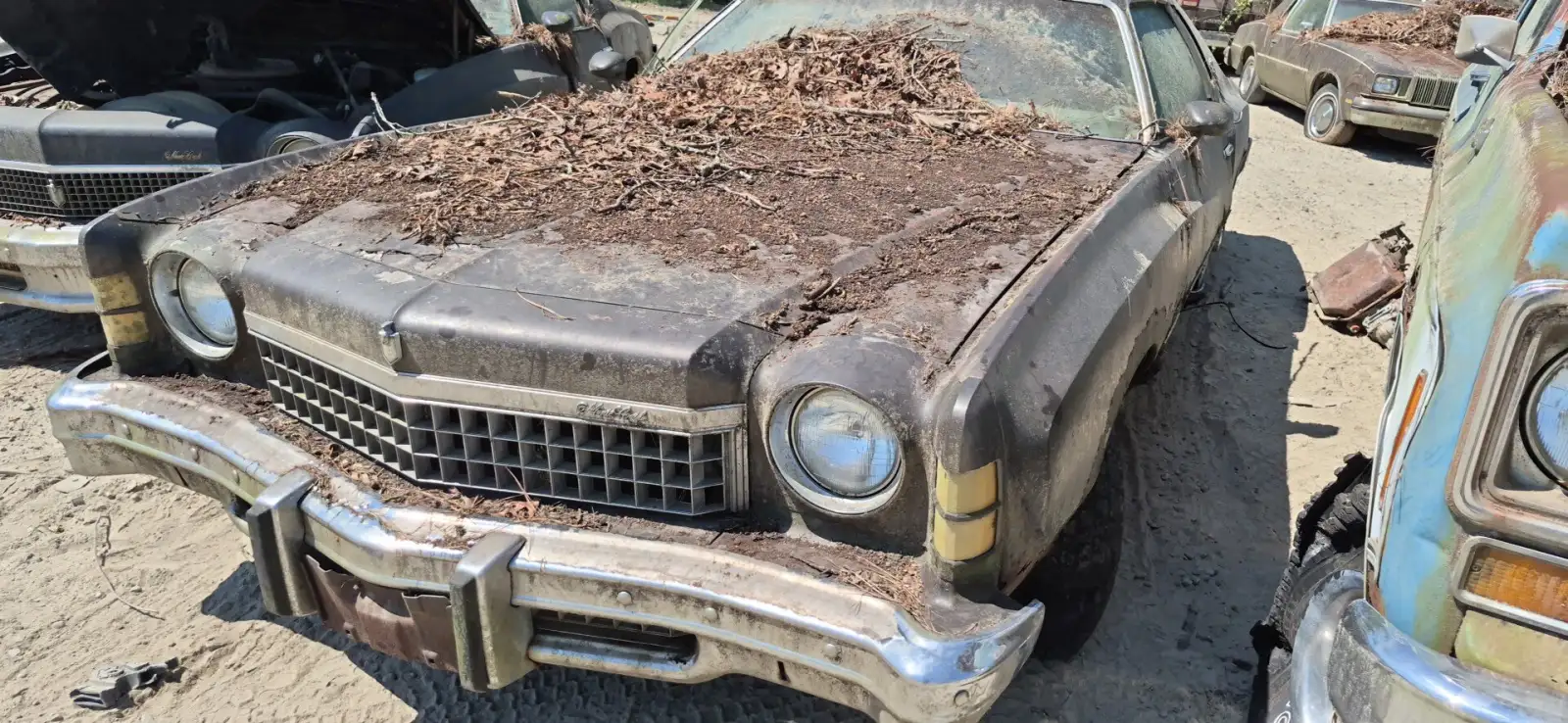 Photo of 1971 Chevrolet Monte Carlo