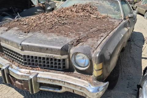 Photo of 1971 Chevrolet Monte Carlo