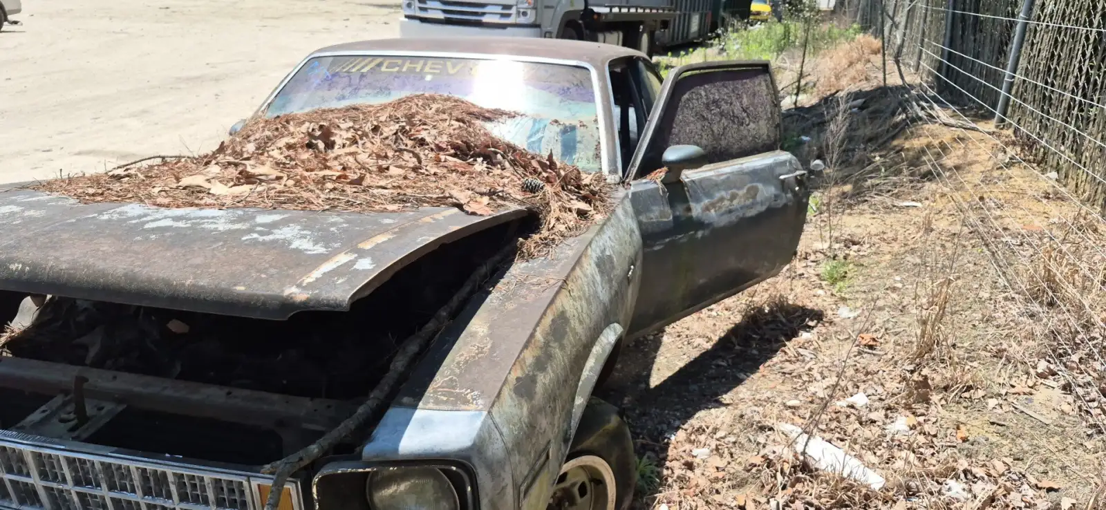 Photo of 1975 Chevrolet Nova