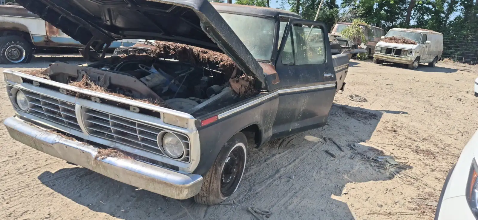Photo of 1975 Ford F-100