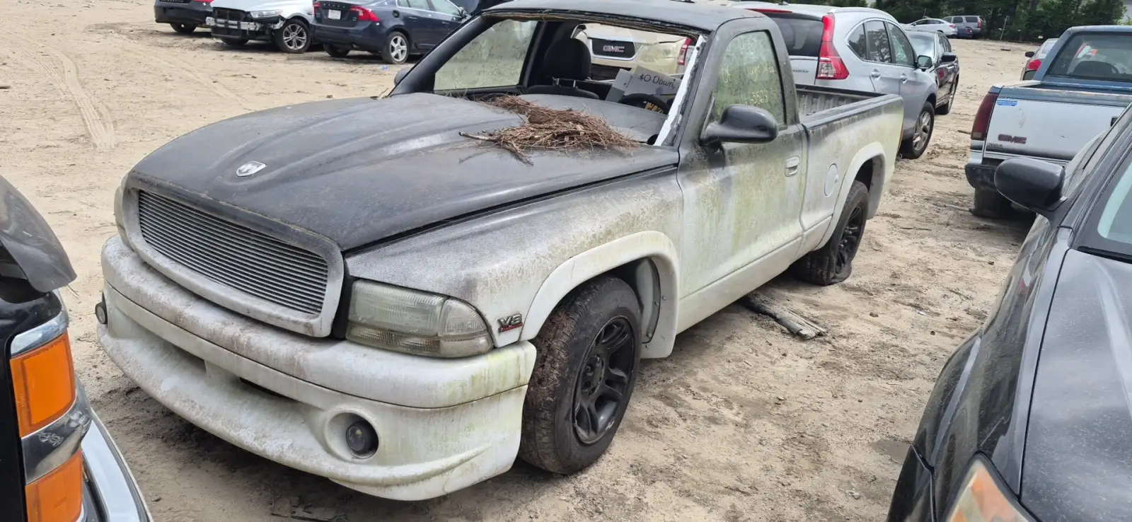 Photo of 1997 Dodge Dakota