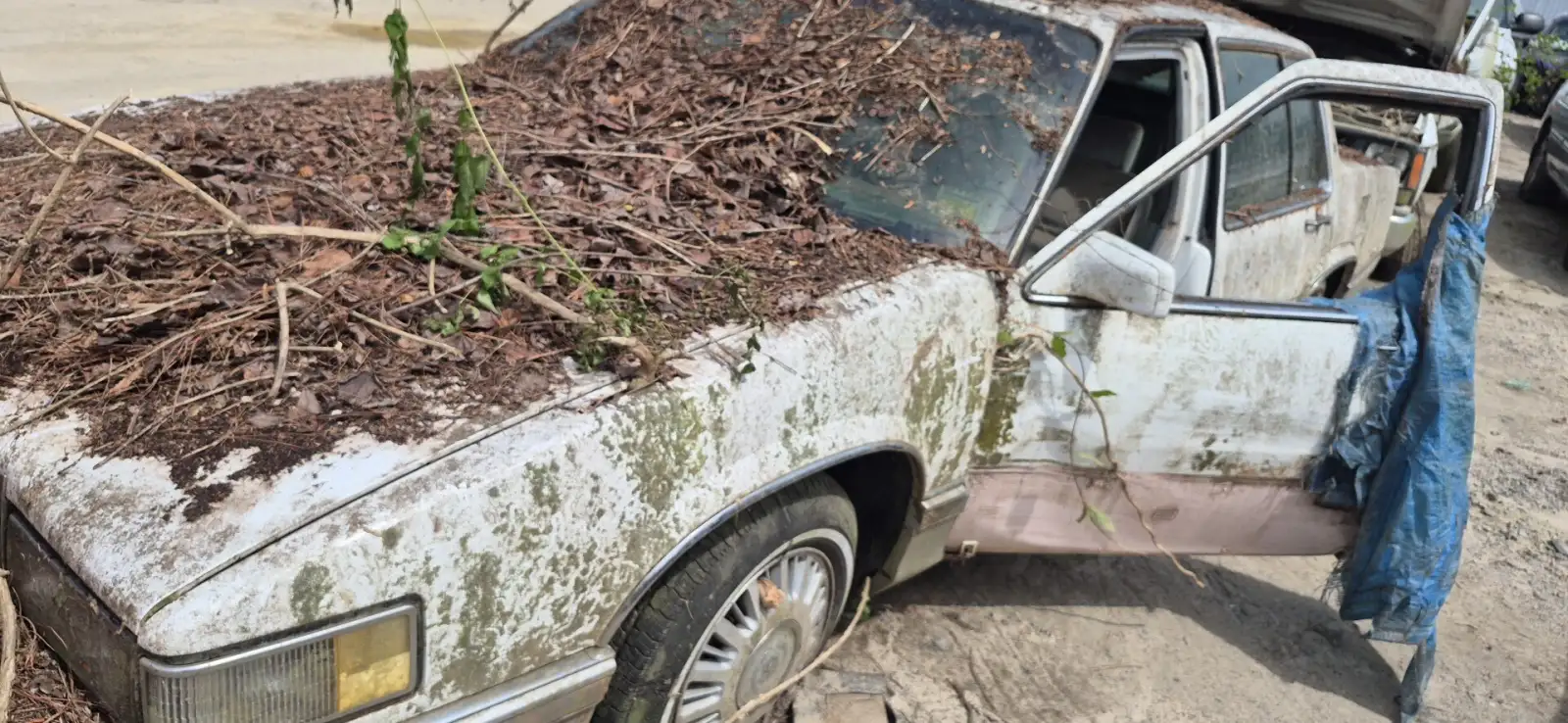 Photo of 1991 Cadillac Deville
