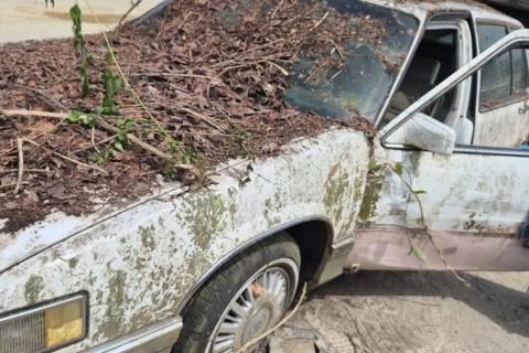 Photo of 1991 Cadillac Deville