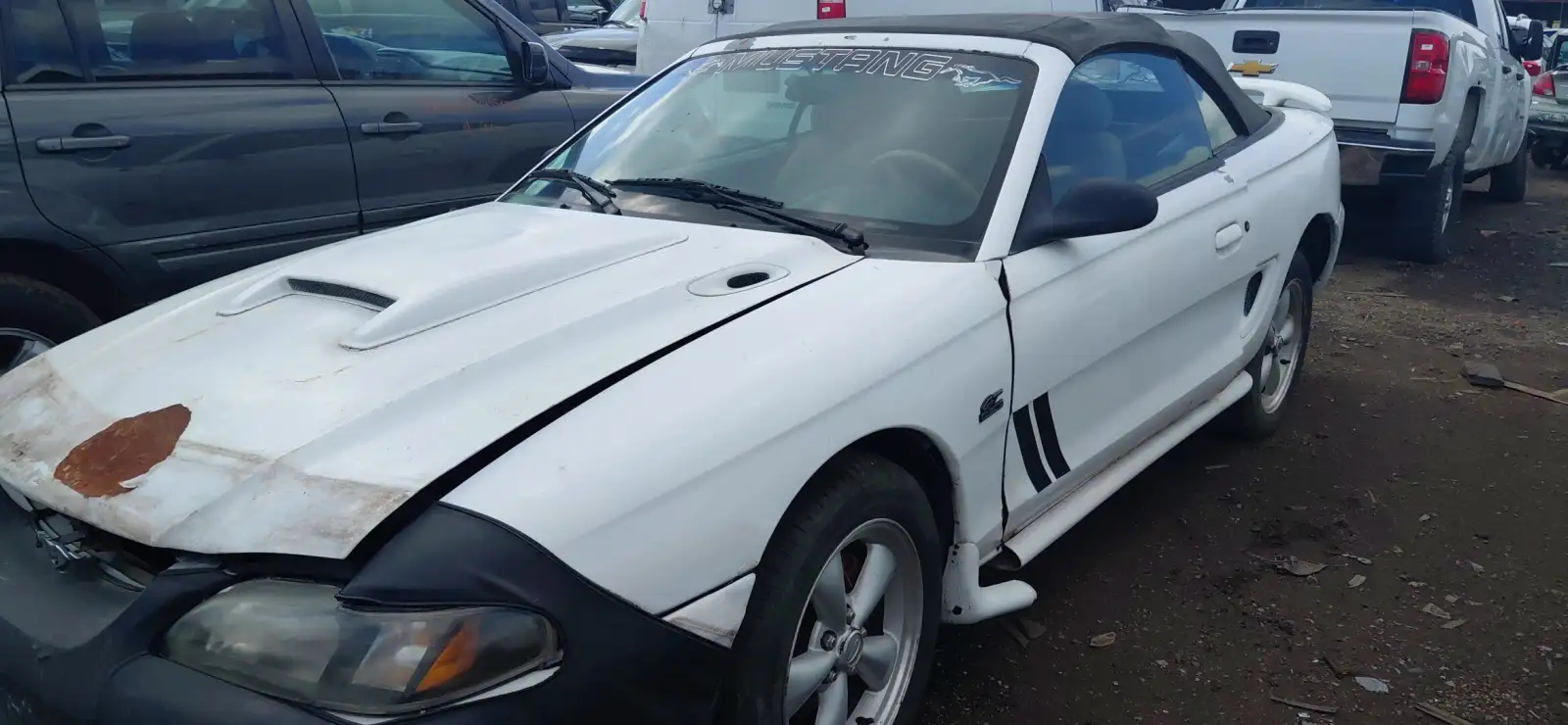 Photo of 1995 Ford Mustang