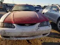 Photo of 1998 Ford Mustang