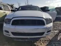 Photo of 2014 Ford Mustang