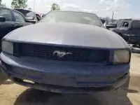 Photo of 2006 Ford Mustang
