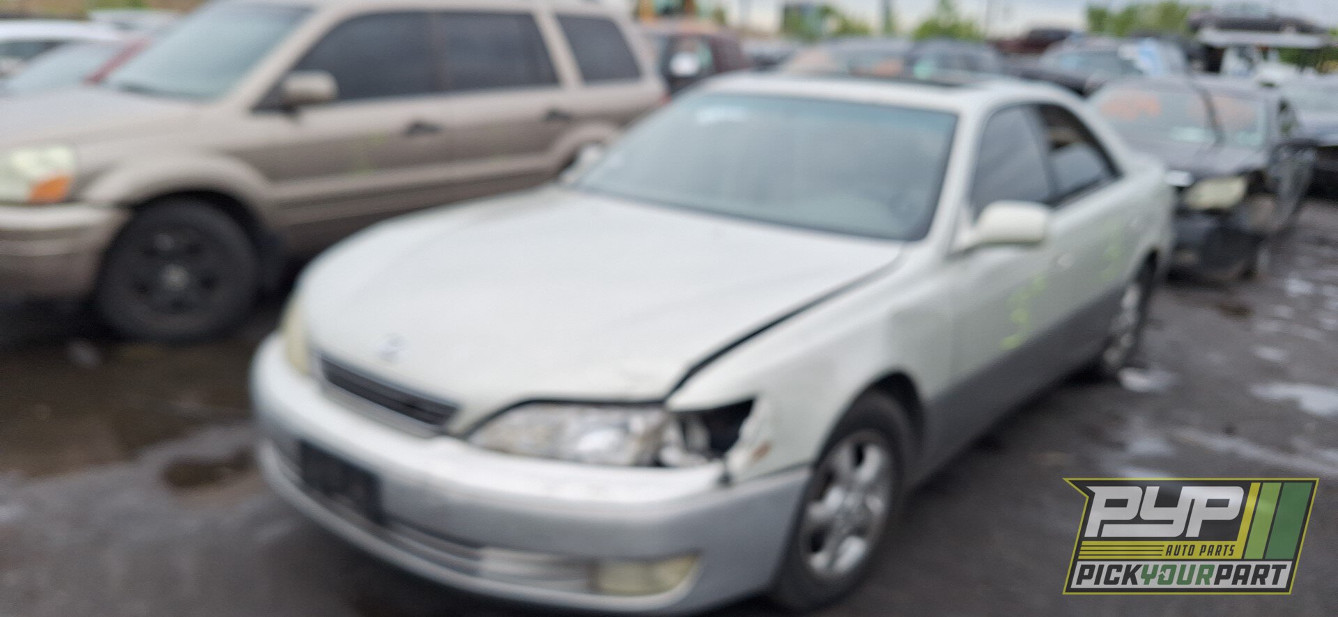 Photo of 1999 Lexus Es300