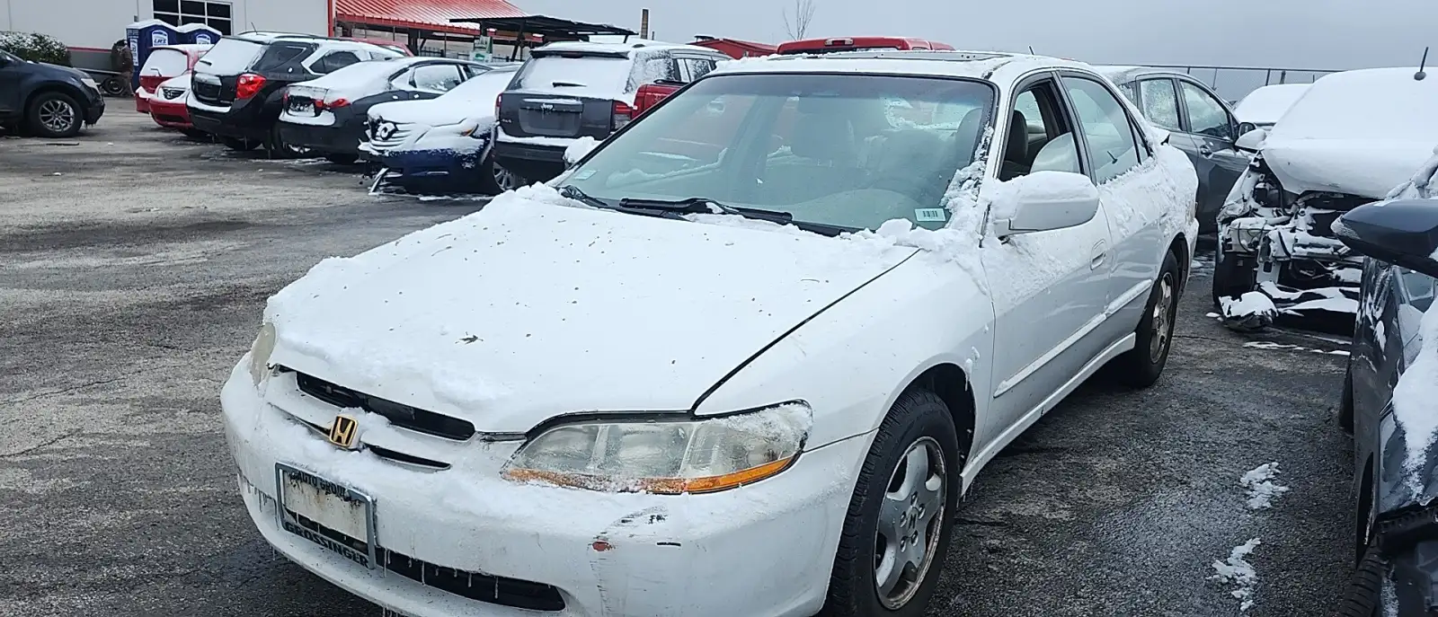 Photo of 1999 Honda Accord