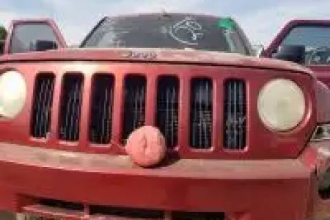 Photo of 2010 Jeep Patriot