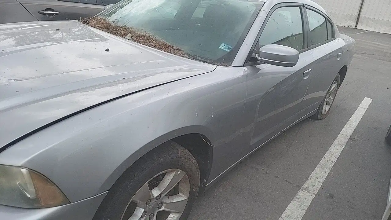 Photo of 2011 Dodge Charger