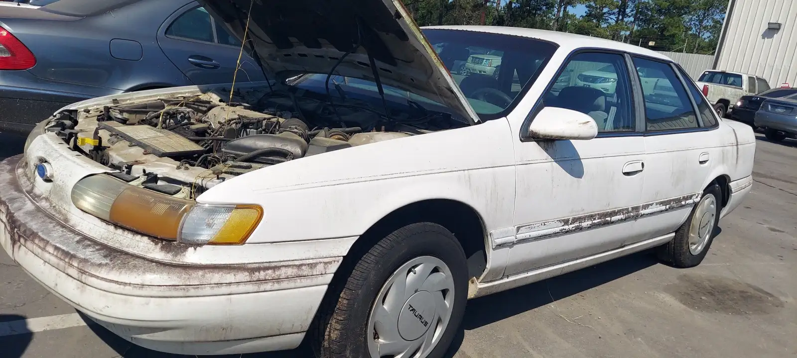 Photo of 1995 Ford Taurus