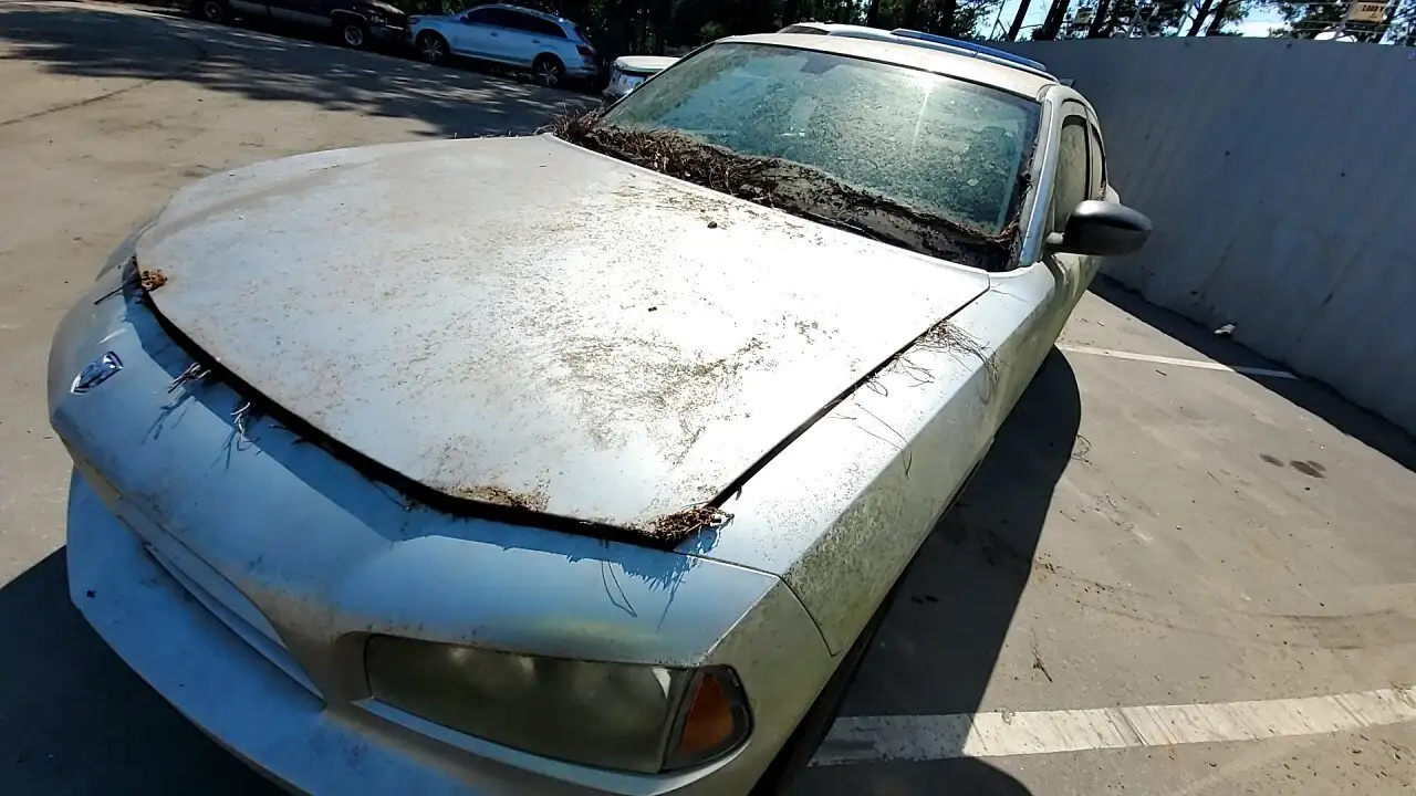 Photo of 2009 Dodge Charger