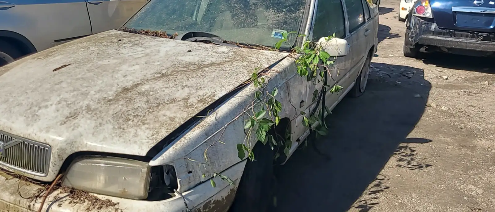 Photo of 1999 Volvo S70