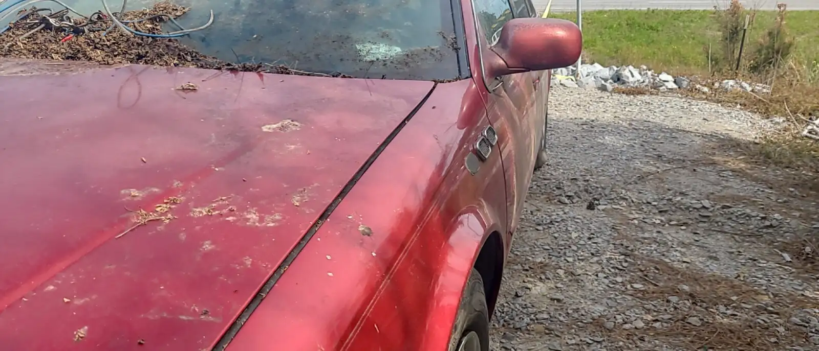 Photo of 1998 Cadillac Seville