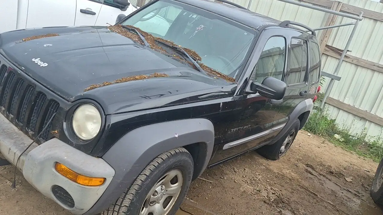 Photo of 2003 Jeep Liberty
