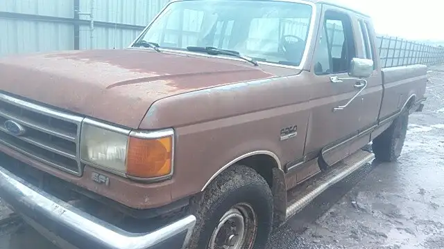 Photo of 1989 Ford F-250