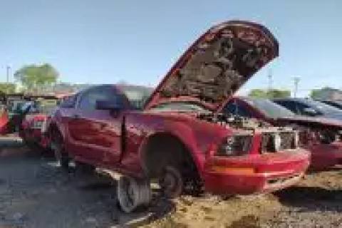 Photo of 2008 Ford Mustang