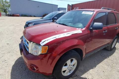 Photo of 2010 Ford Escape