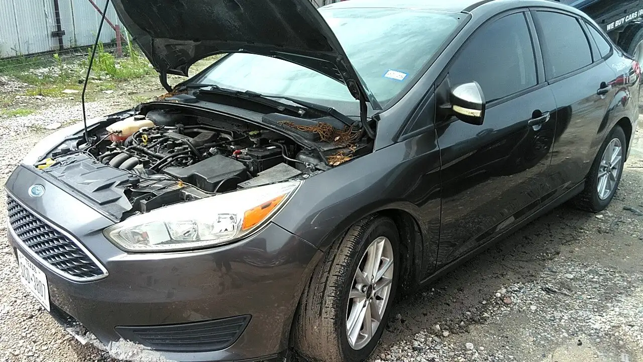 Photo of 2015 Ford Focus